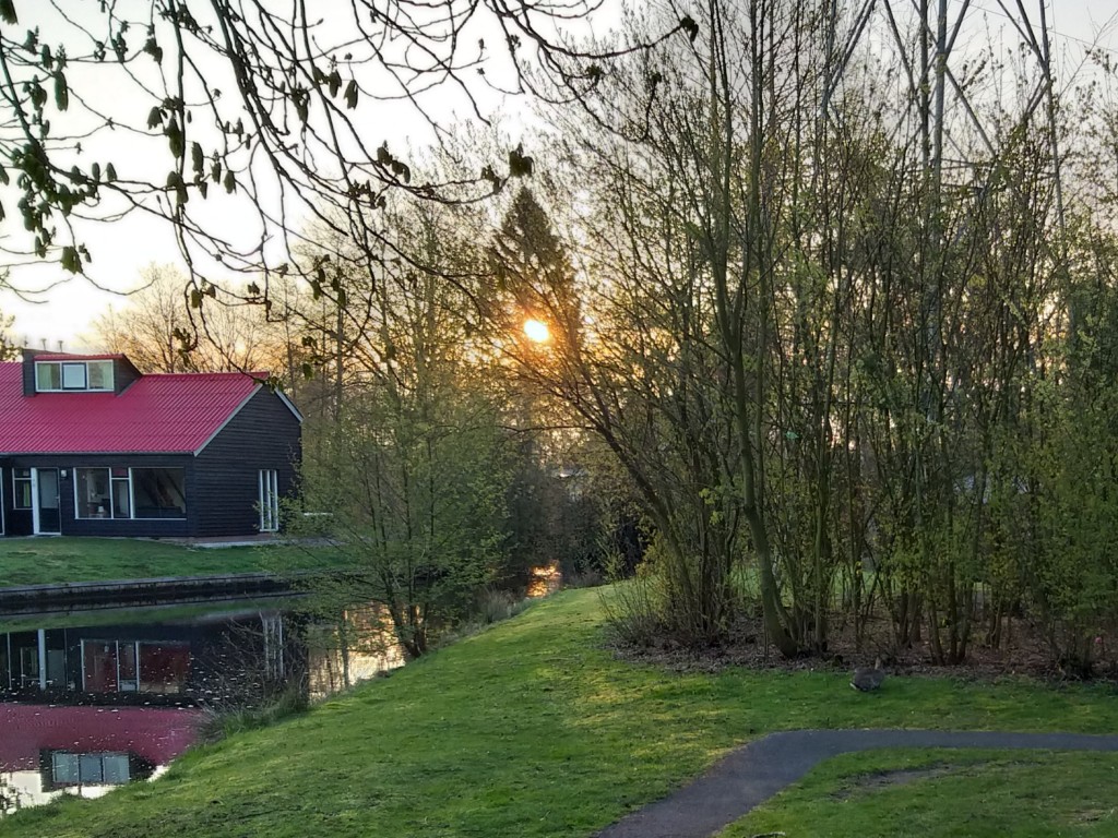 20190411_072723.jpg