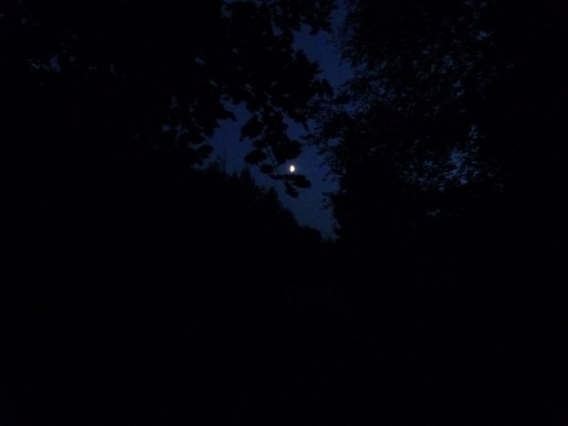 P1040898.jpg
