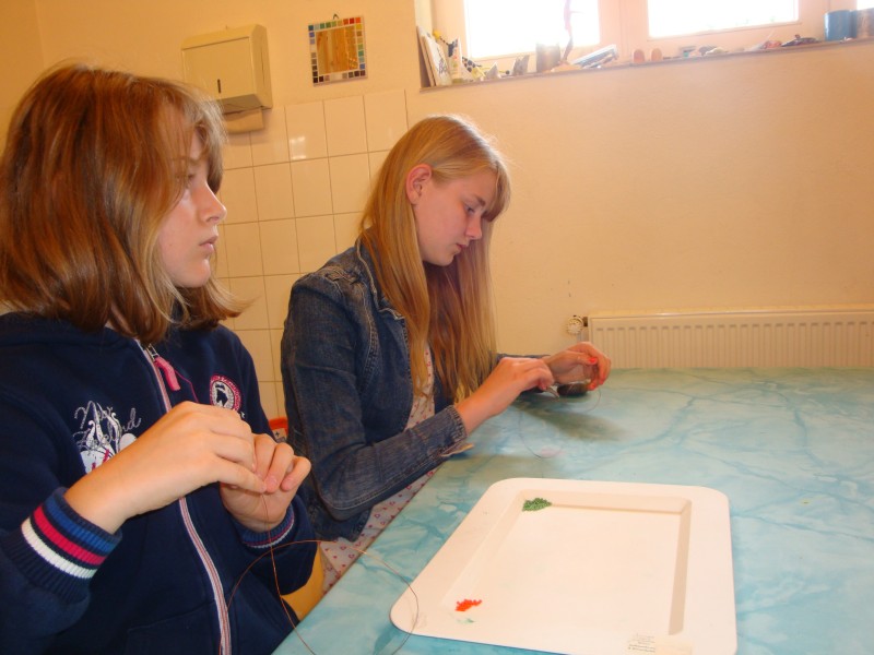 DSC07765.jpg
