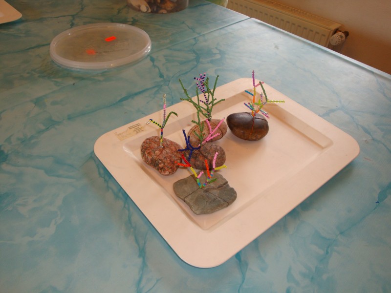 DSC07779.jpg
